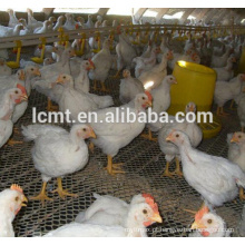 equipamentos de agricultura de frangos de capoeira para casa de frango